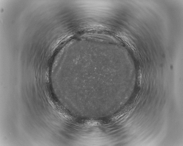 X0000086950547200705071446