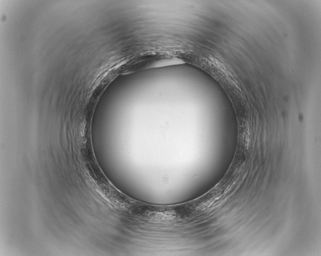 X0000086950548200705071446