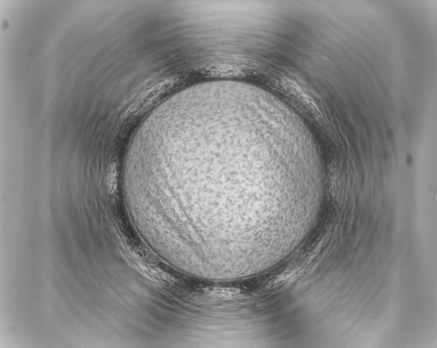 X0000086950549200705071446