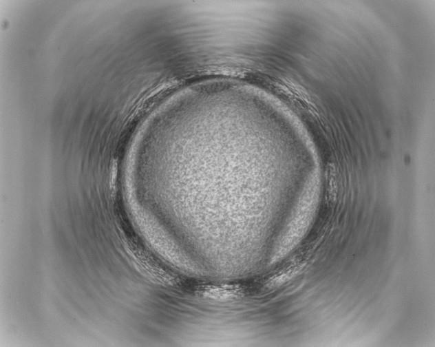 X0000086950550200705071446