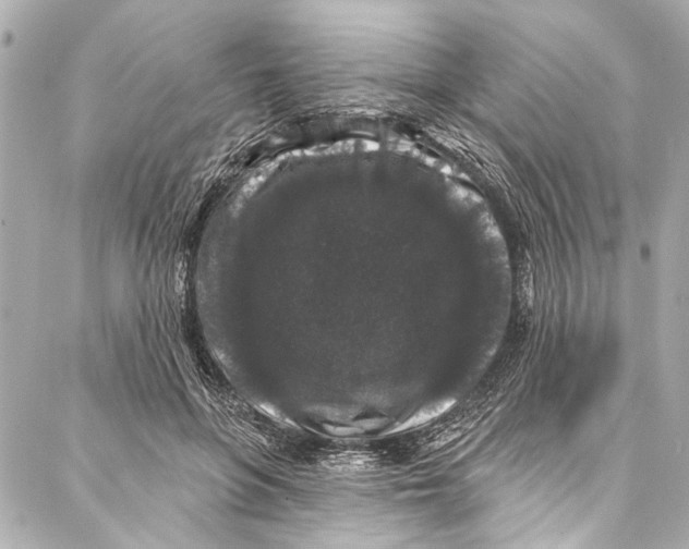 X0000086950551200705071446