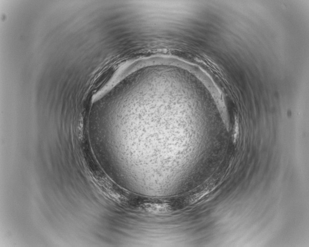 X0000086950552200705071446