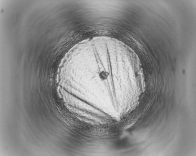 X0000086950553200705071446