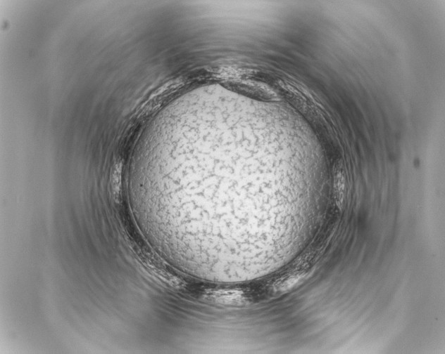 X0000086950554200705071446