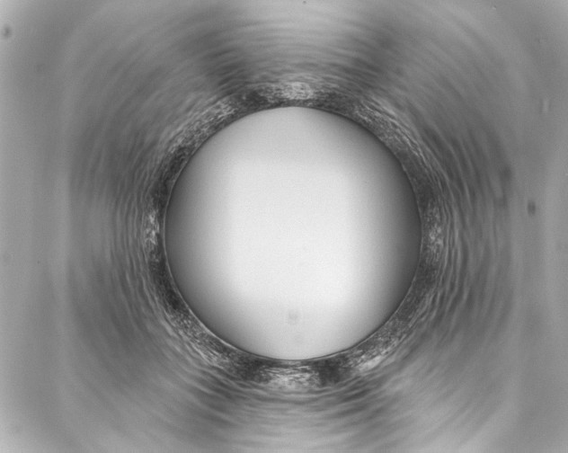 X0000086950555200705071446