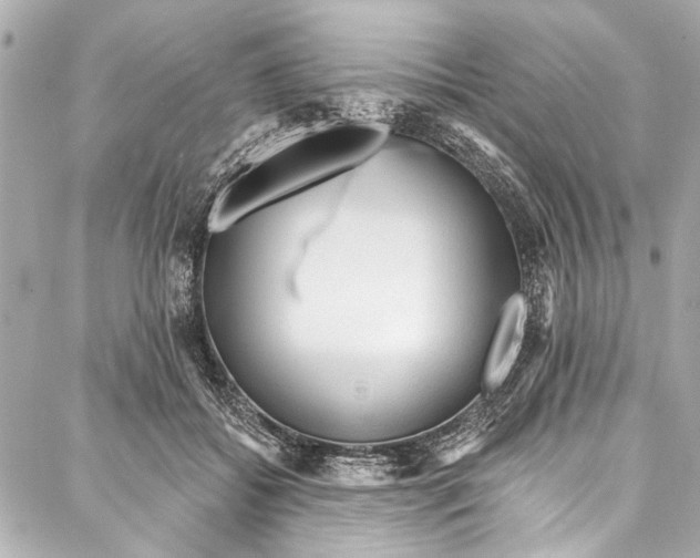 X0000086950556200705071446