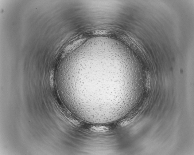 X0000086950557200705071446