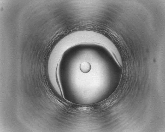 X0000086950558200705071446