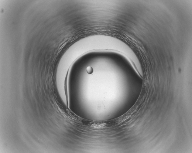 X0000086950560200705071446