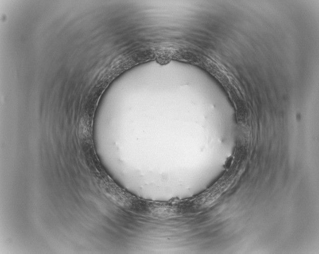 X0000086950561200705071446