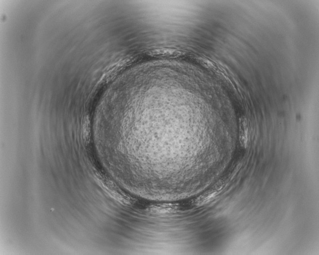 X0000086950563200705071446