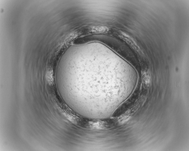 X0000086950564200705071446