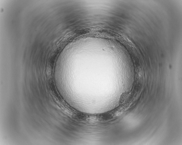 X0000086950565200705071446