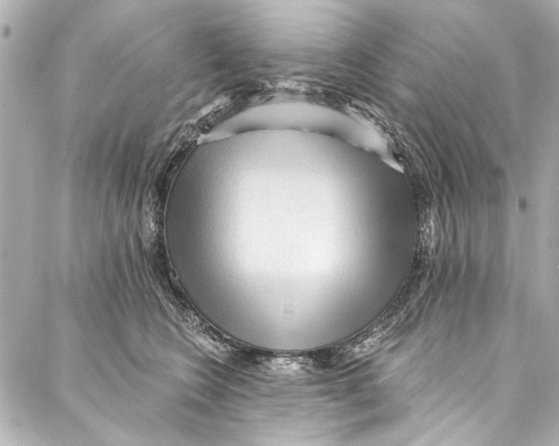 X0000086950566200705071446