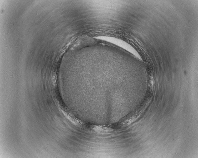 X0000086950568200705071446