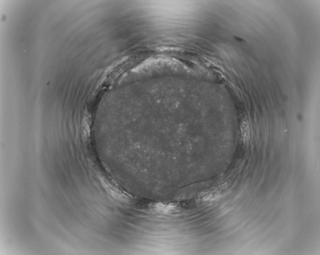 X0000086950570200705071446