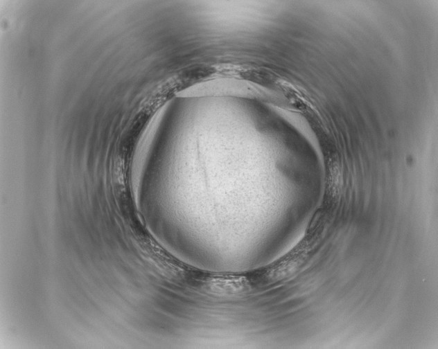 X0000086950571200705071446