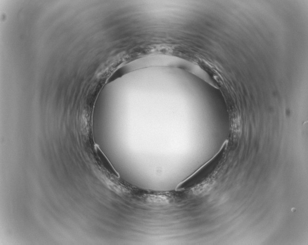 X0000086950572200705071446