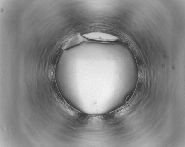 X0000086950573200705071446