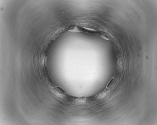 X0000086950574200705071446