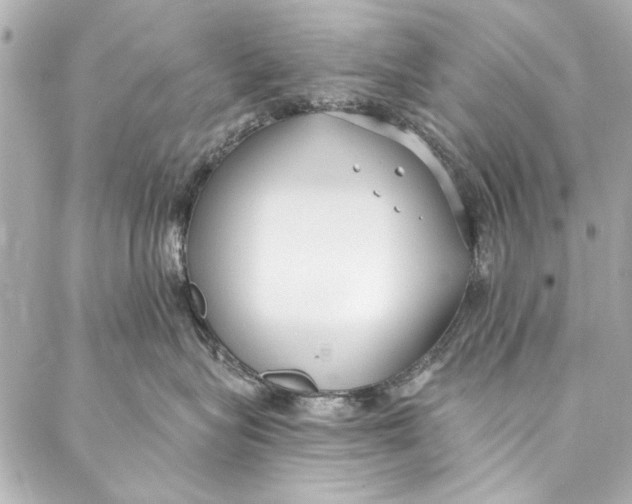 X0000086950575200705071446