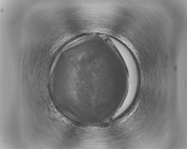 X0000086950577200705071445