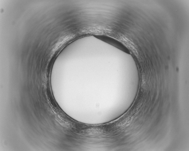 X0000086950578200705071445