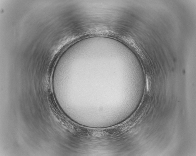 X0000086950579200705071445