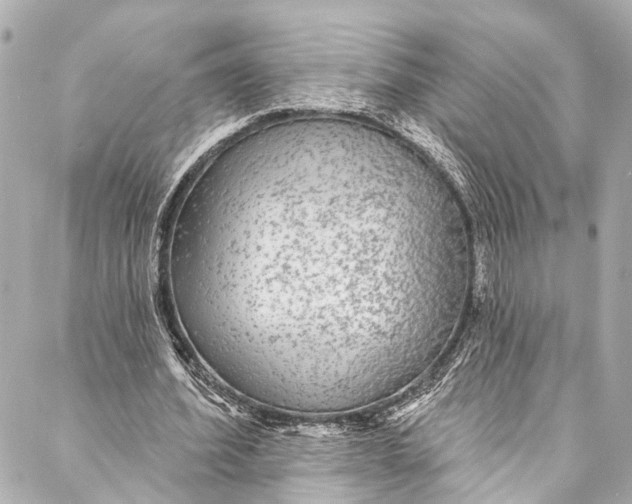 X0000086950580200705071445