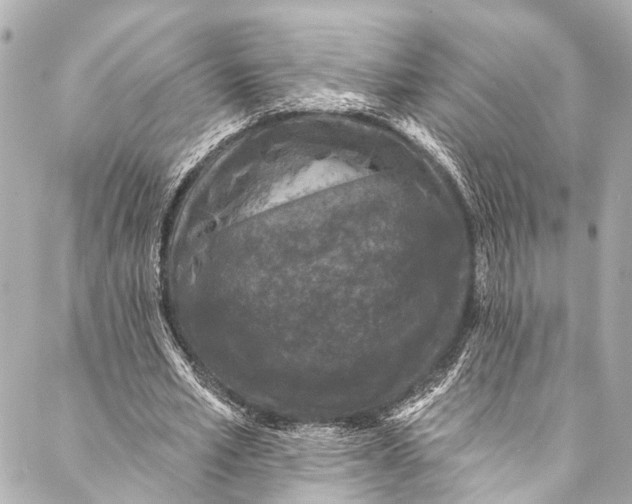 X0000086950581200705071445