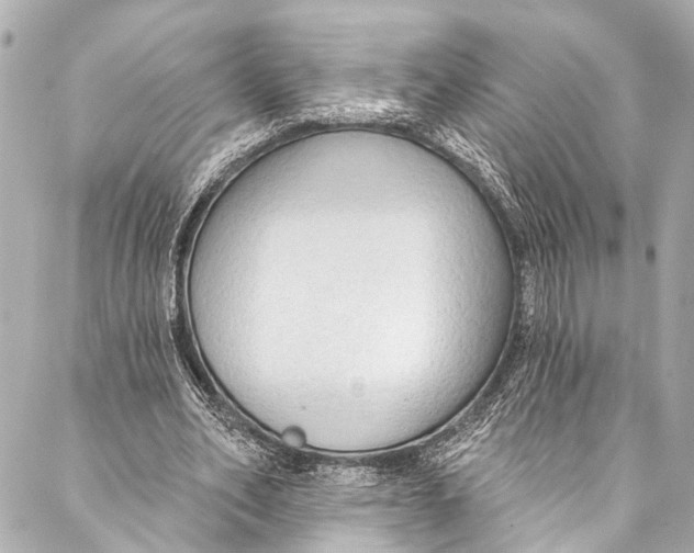 X0000086950582200705071445