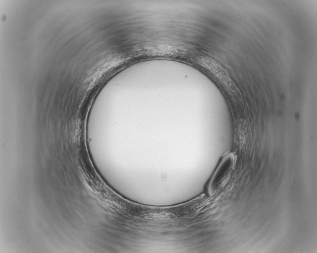 X0000086950583200705071445