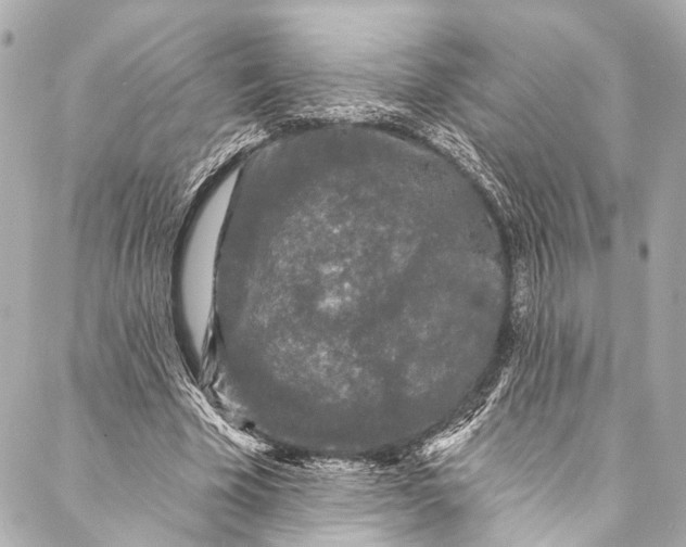 X0000086950585200705071445