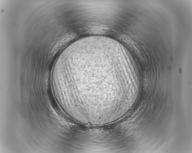 X0000086950586200705071445