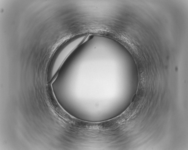 X0000086950587200705071445