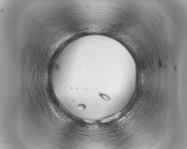 X0000086950588200705071445