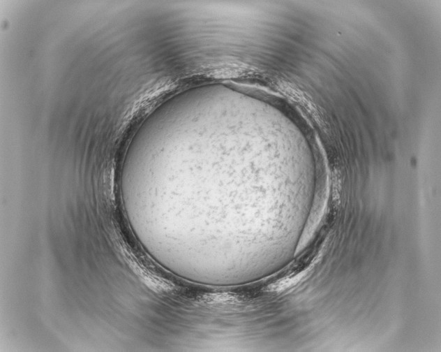 X0000086950589200705071445