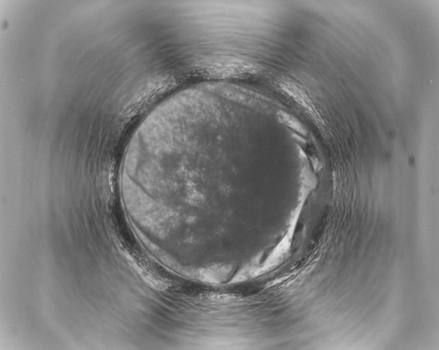 X0000086950590200705071445