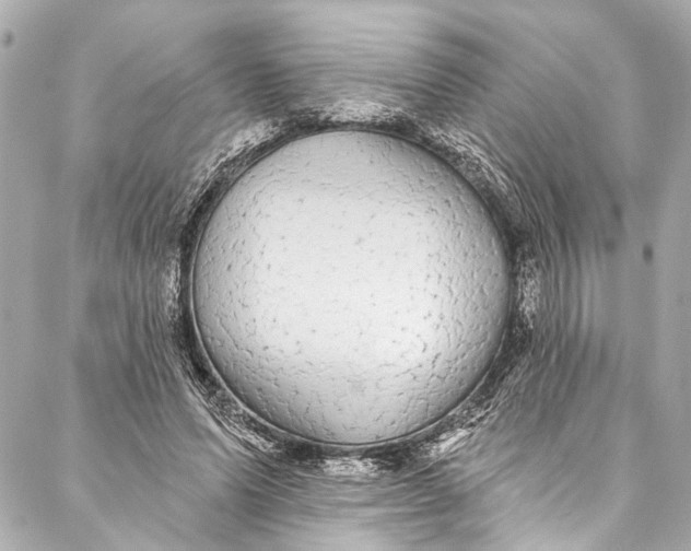 X0000086950591200705071445