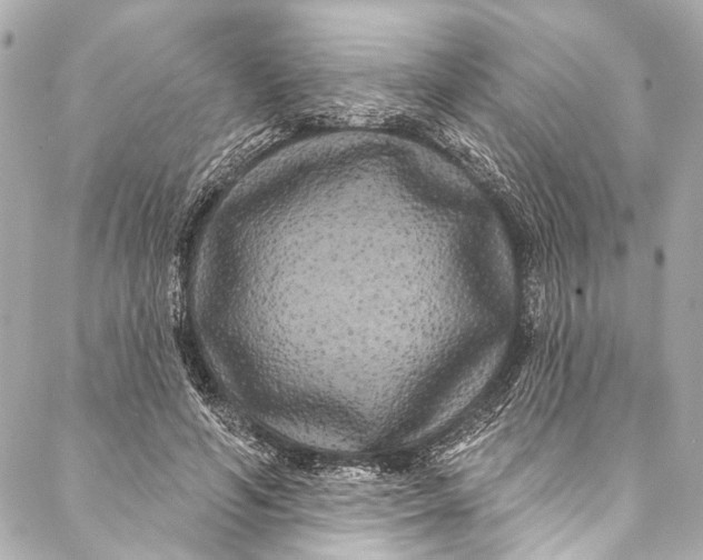 X0000086950594200705071445