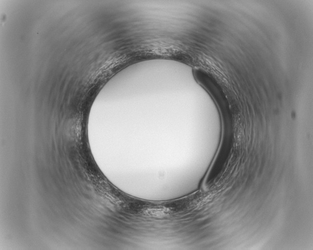 X0000086950595200705071445