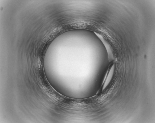 X0000086950597200705071445