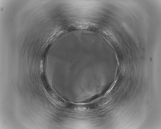 X0000086950598200705071445