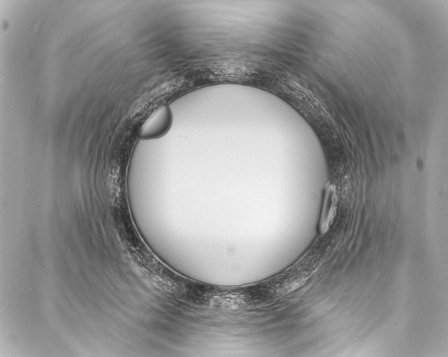 X0000086950599200705071445