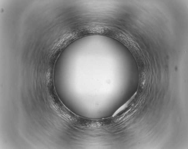 X0000086950600200705071445