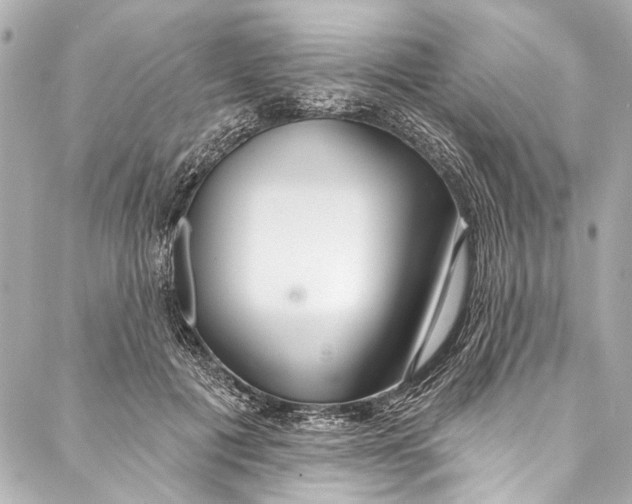 X0000086950601200705071445