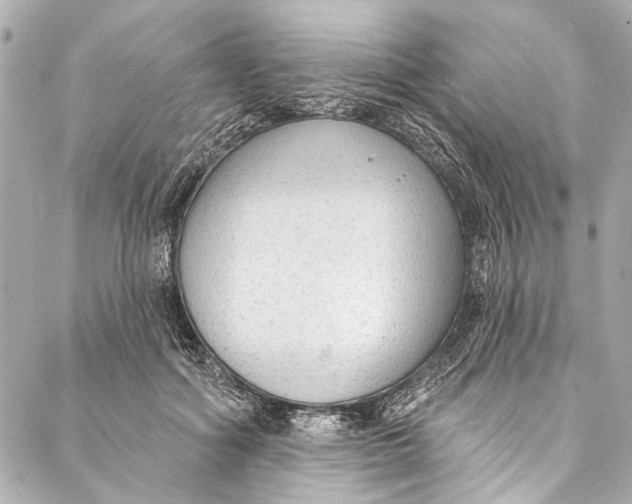 X0000086950602200705071445