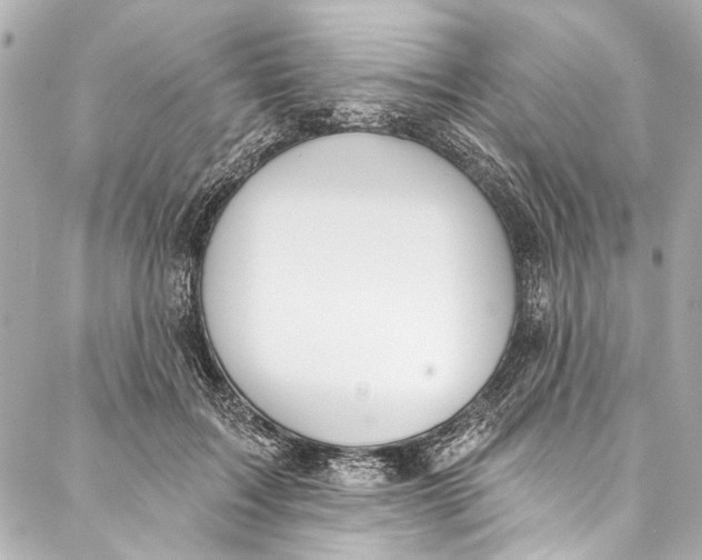 X0000086950603200705071445