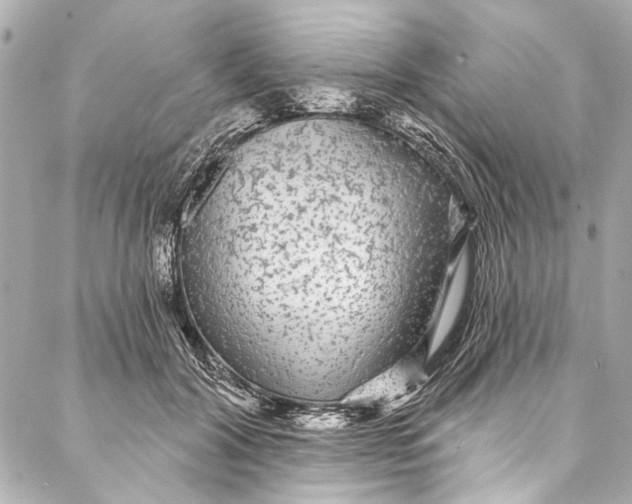 X0000086950604200705071445