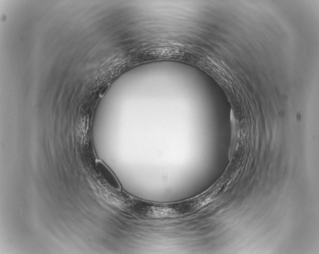 X0000086950605200705071445